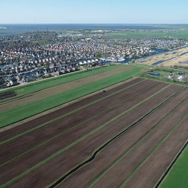 Grond ingezaaid met vezelhennep - Greeninclusive